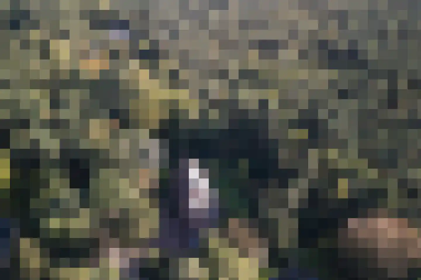Boslaan 4 Mierlo thumbnail 98