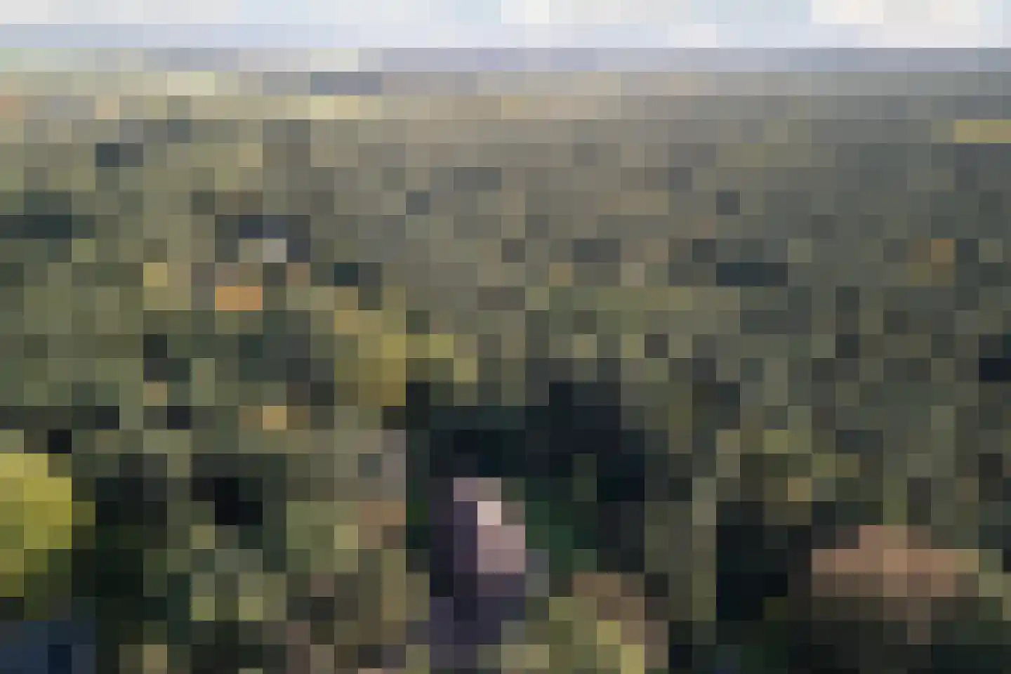Boslaan 4 Mierlo thumbnail 99