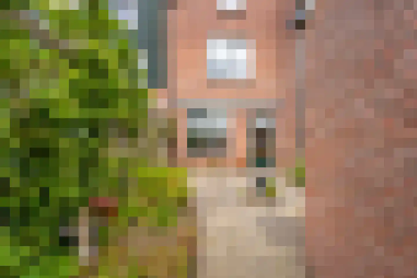 Boslaan 44 Rijnsburg thumbnail 23