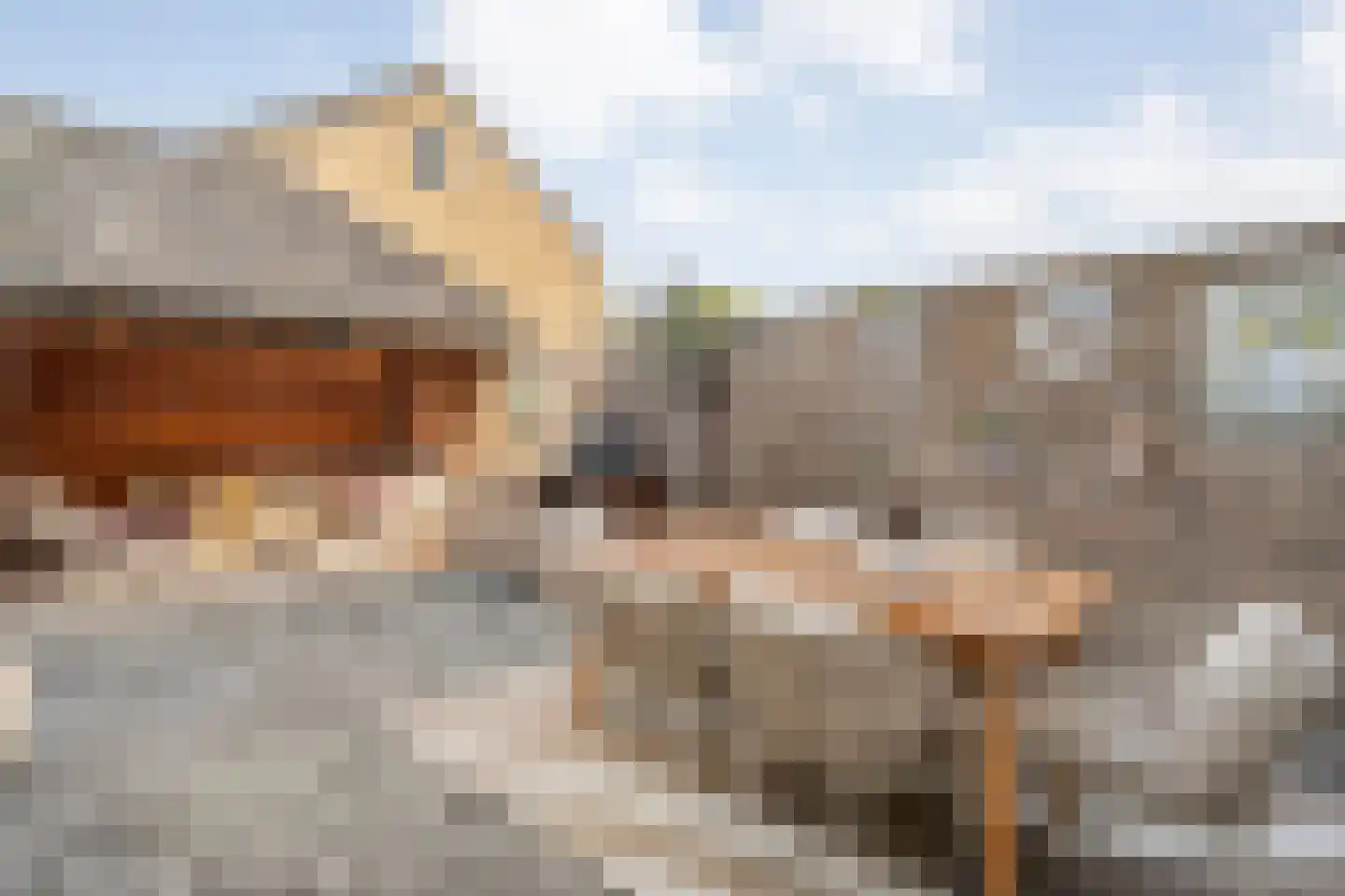 Boslaan 44 Zuidwolde thumbnail 52