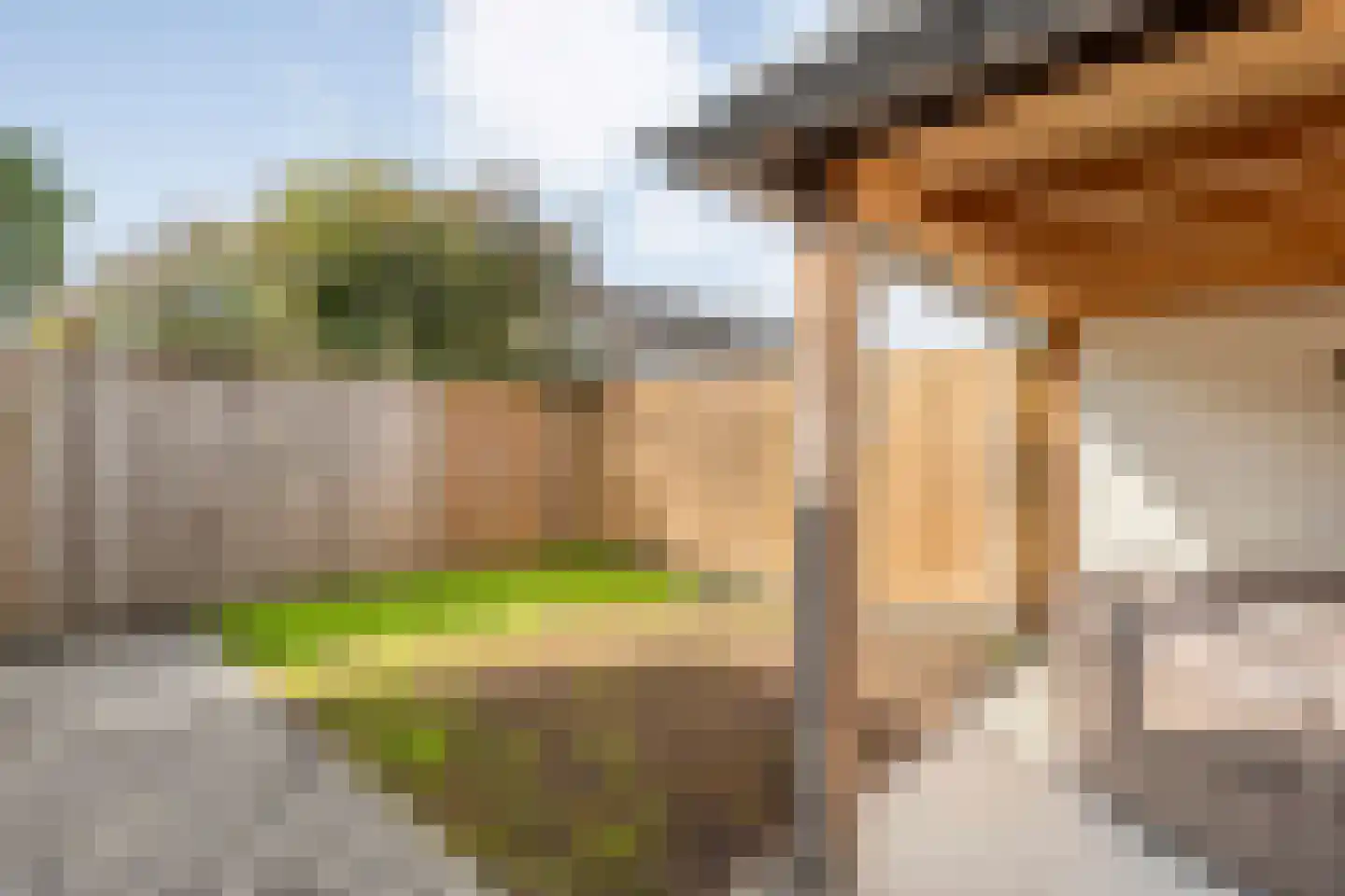Boslaan 44 Zuidwolde thumbnail 59