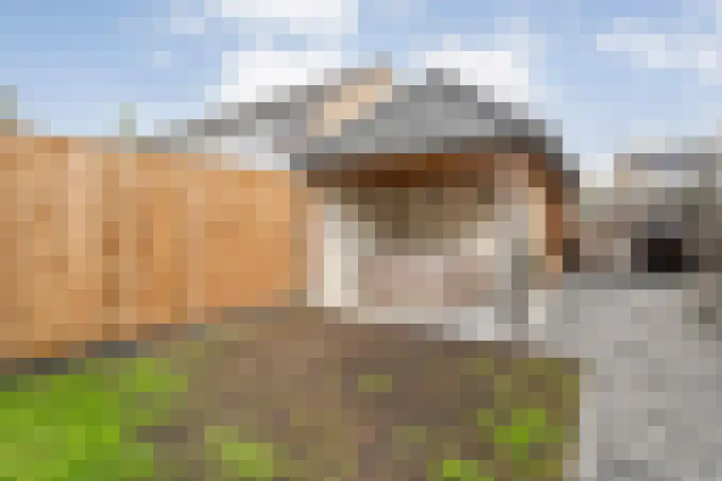 Boslaan 44 Zuidwolde thumbnail 61