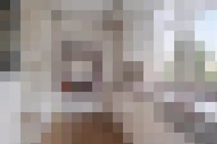 Boslaan 46 Lunteren thumbnail 16