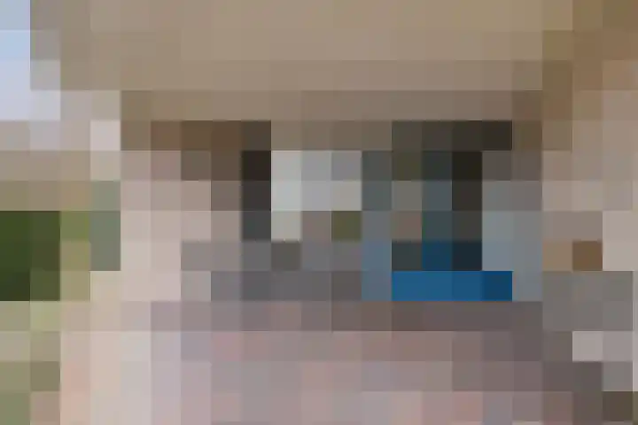 Boslaan 46 Lunteren thumbnail 24