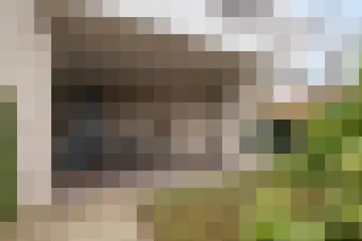 Boslaan 46 Lunteren thumbnail 26