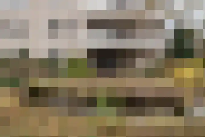 Boslaan 46 Lunteren thumbnail 27