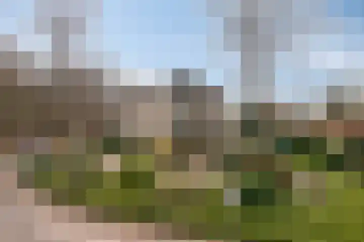 Boslaan 46 Lunteren thumbnail 33