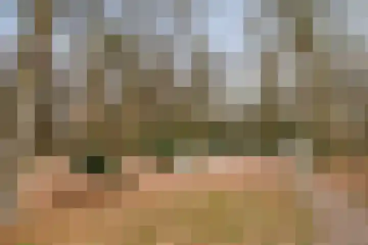 Boslaan 46 Lunteren thumbnail 5