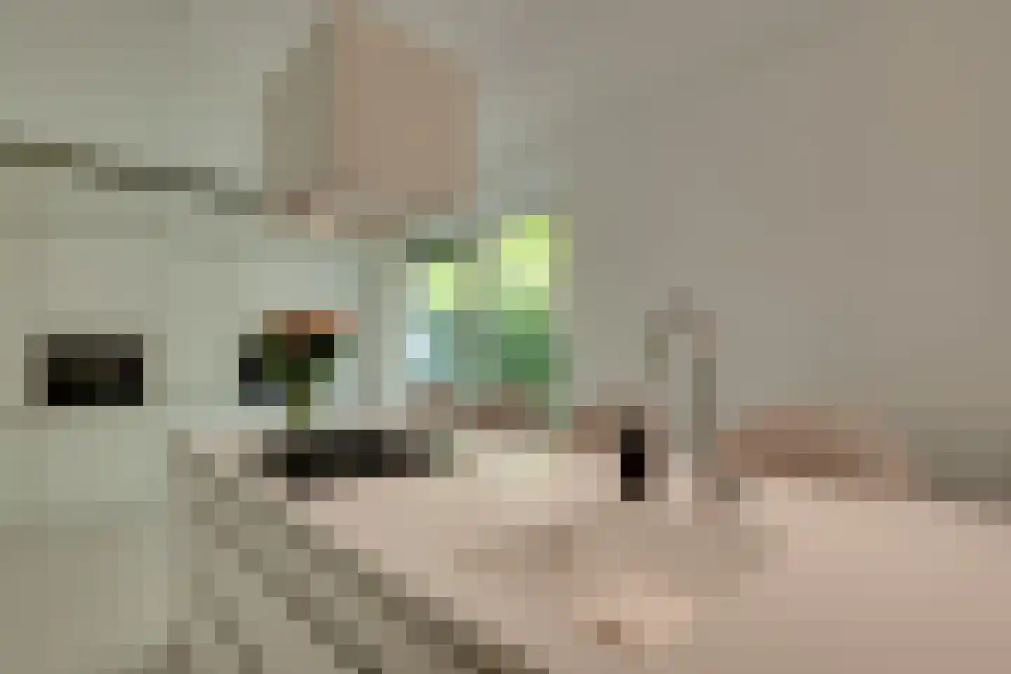 Boslaan 47 Nooitgedacht thumbnail 10