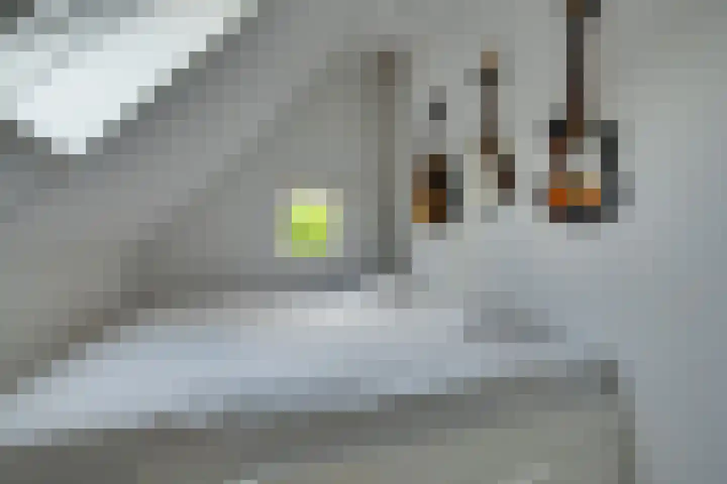 Boslaan 47 Nooitgedacht thumbnail 23