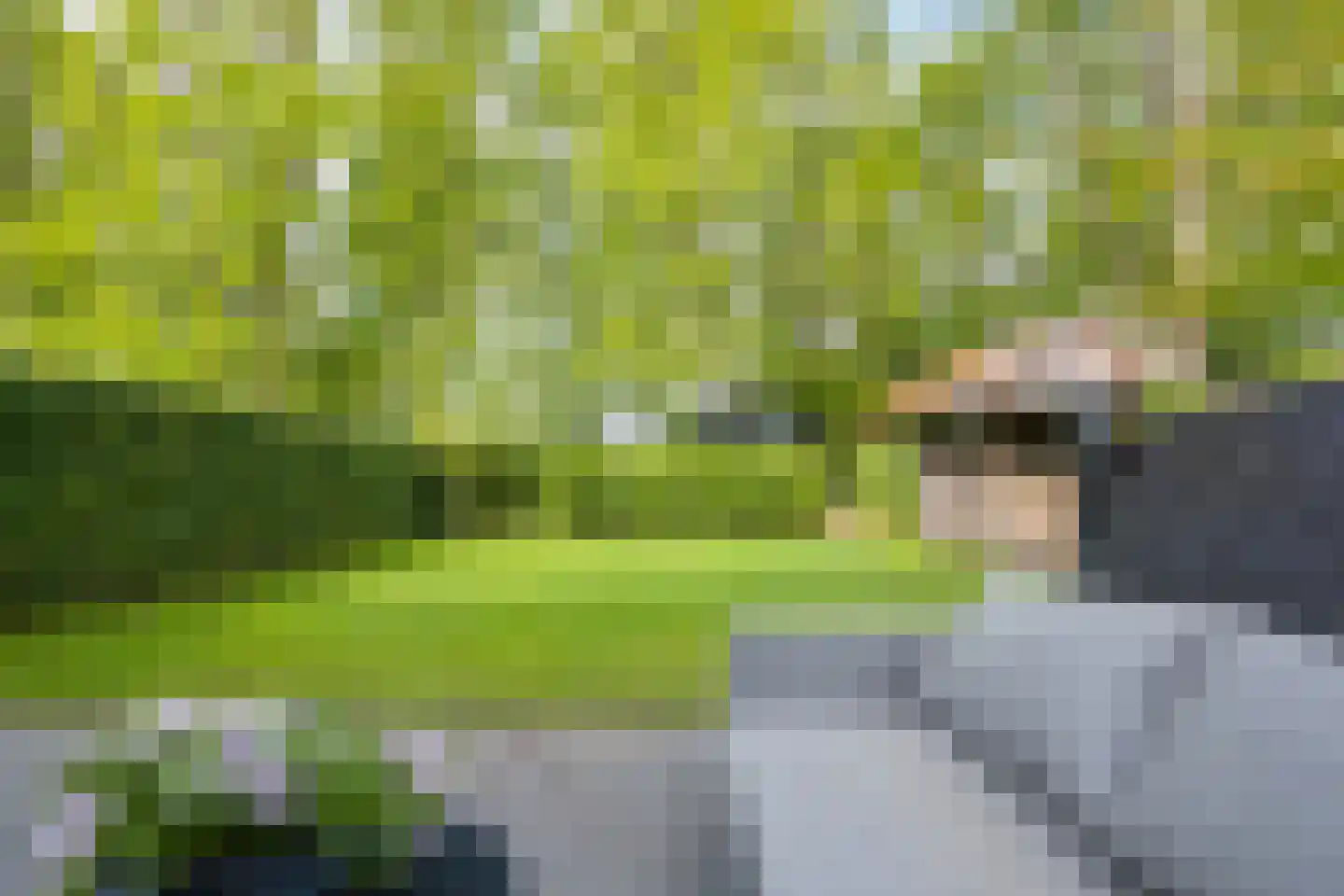 Boslaan 47 Nooitgedacht thumbnail 26