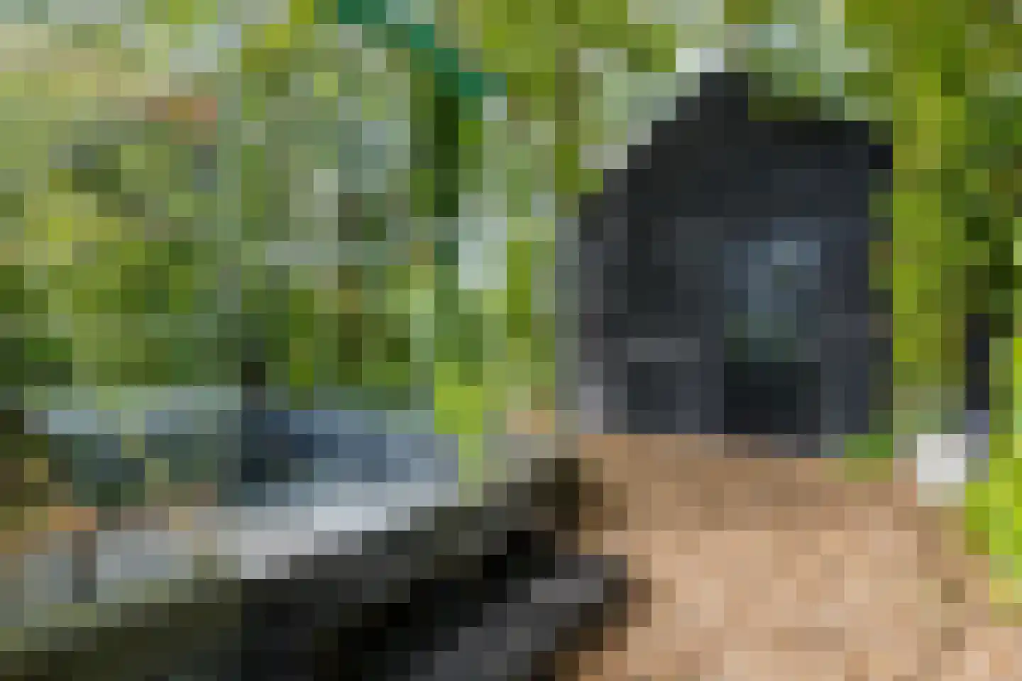 Boslaan 47 Nooitgedacht thumbnail 30