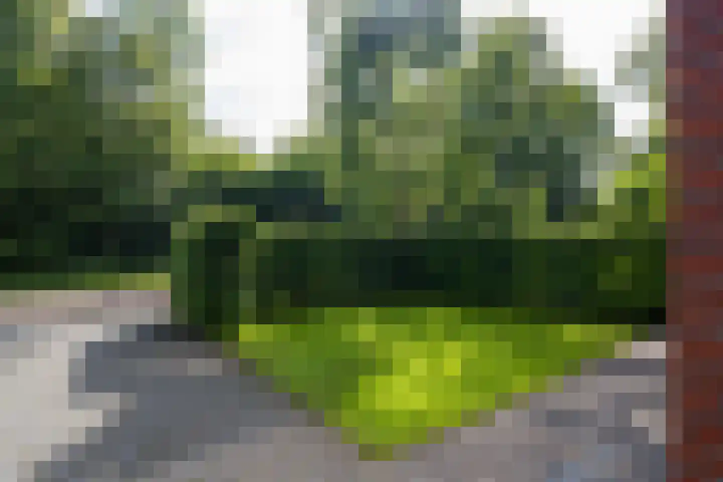 Boslaan 47 Nooitgedacht thumbnail 32