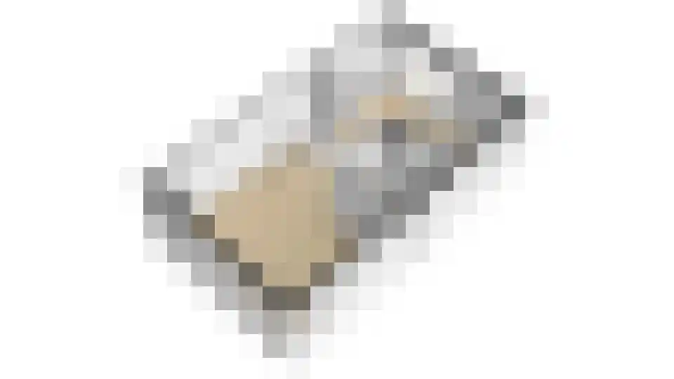 Boslaan 47 Nooitgedacht thumbnail 34