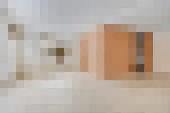 Boslaan 48 Appelscha thumbnail 13