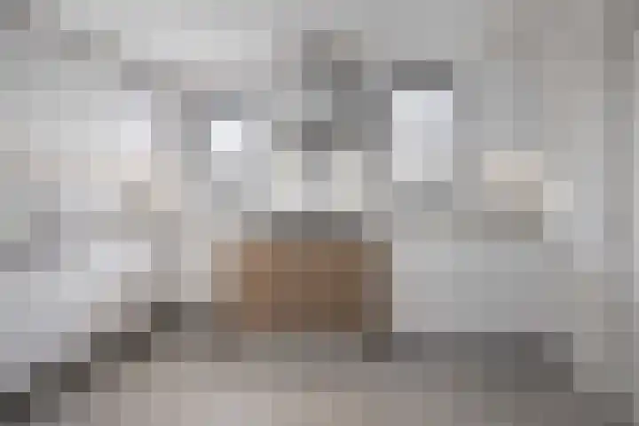 Boslaan 48 Appelscha thumbnail 15
