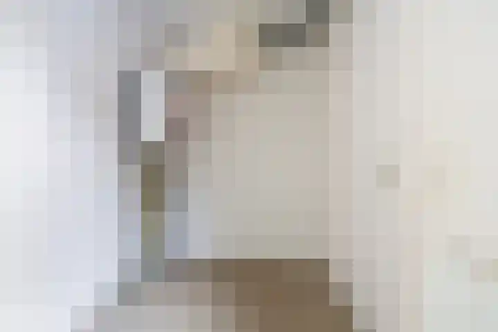 Boslaan 48 Appelscha thumbnail 20