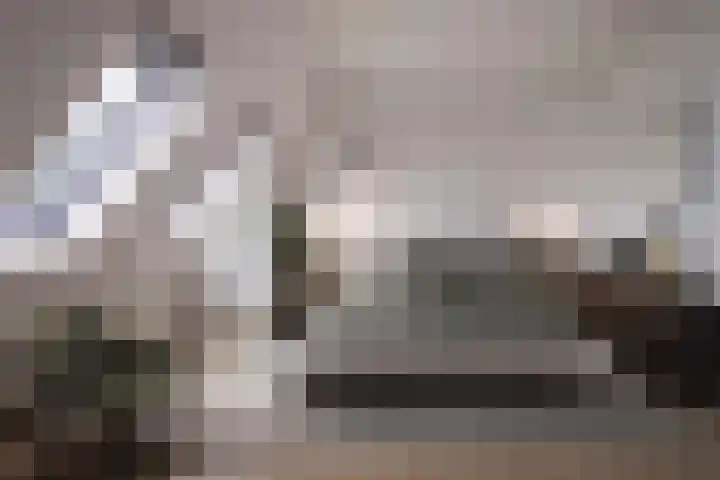 Boslaan 48 Appelscha thumbnail 29