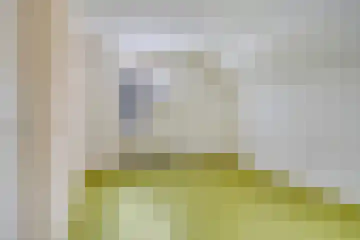 Boslaan 48 Appelscha thumbnail 35
