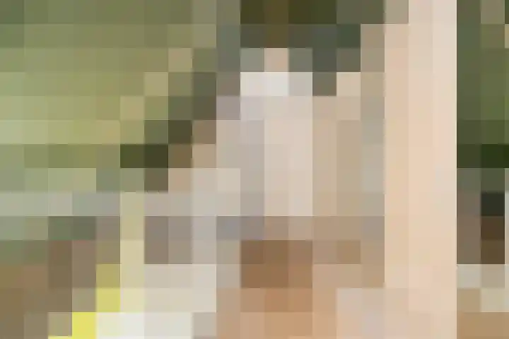 Boslaan 48 Appelscha thumbnail 41
