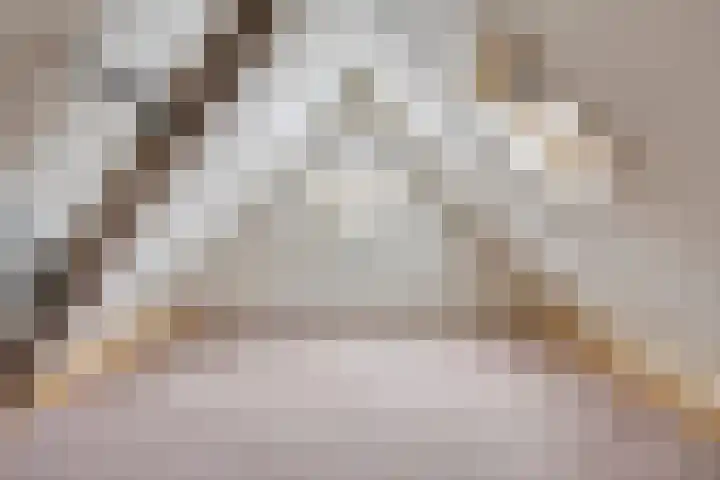 Boslaan 48 Appelscha thumbnail 43