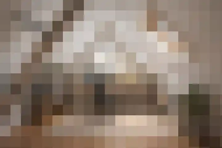Boslaan 48 Appelscha thumbnail 44