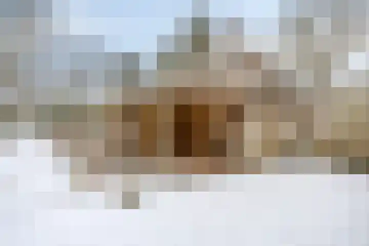 Boslaan 48 Appelscha thumbnail 49