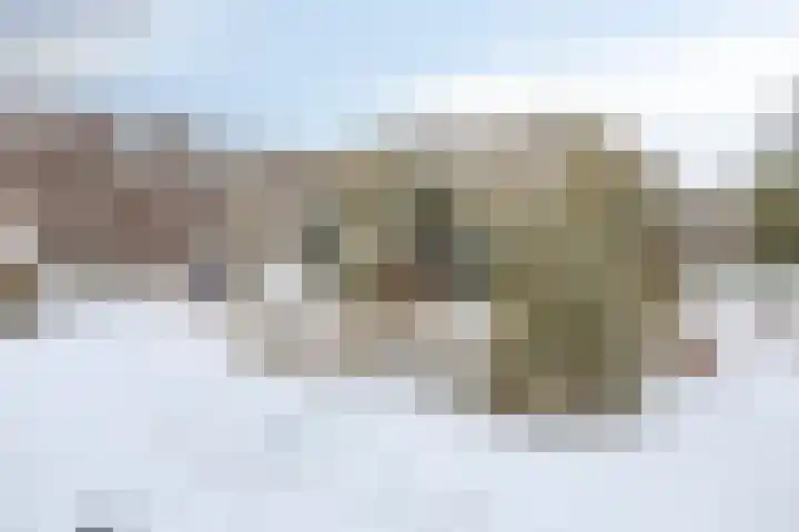 Boslaan 48 Appelscha thumbnail 51