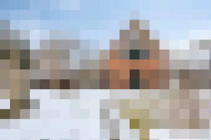 Boslaan 48 Appelscha thumbnail 52
