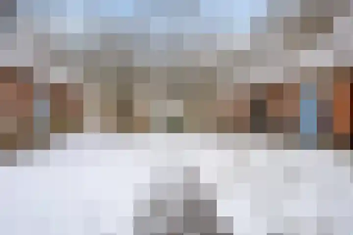 Boslaan 48 Appelscha thumbnail 57