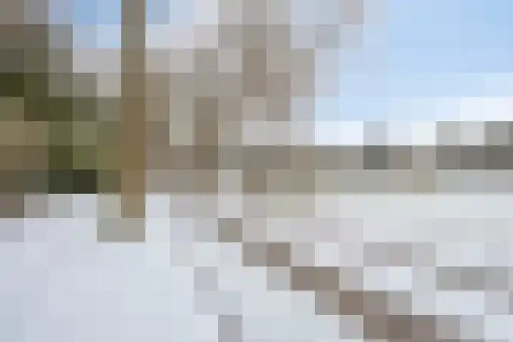Boslaan 48 Appelscha thumbnail 60