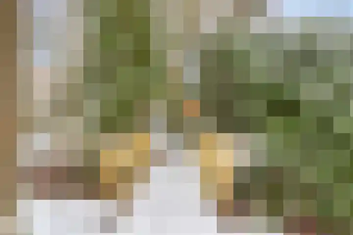 Boslaan 48 Appelscha thumbnail 64