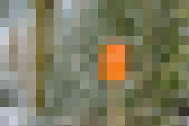 Boslaan 48 Appelscha thumbnail 66
