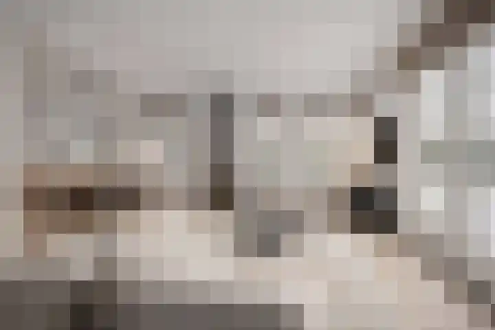 Boslaan 48 Appelscha thumbnail 9