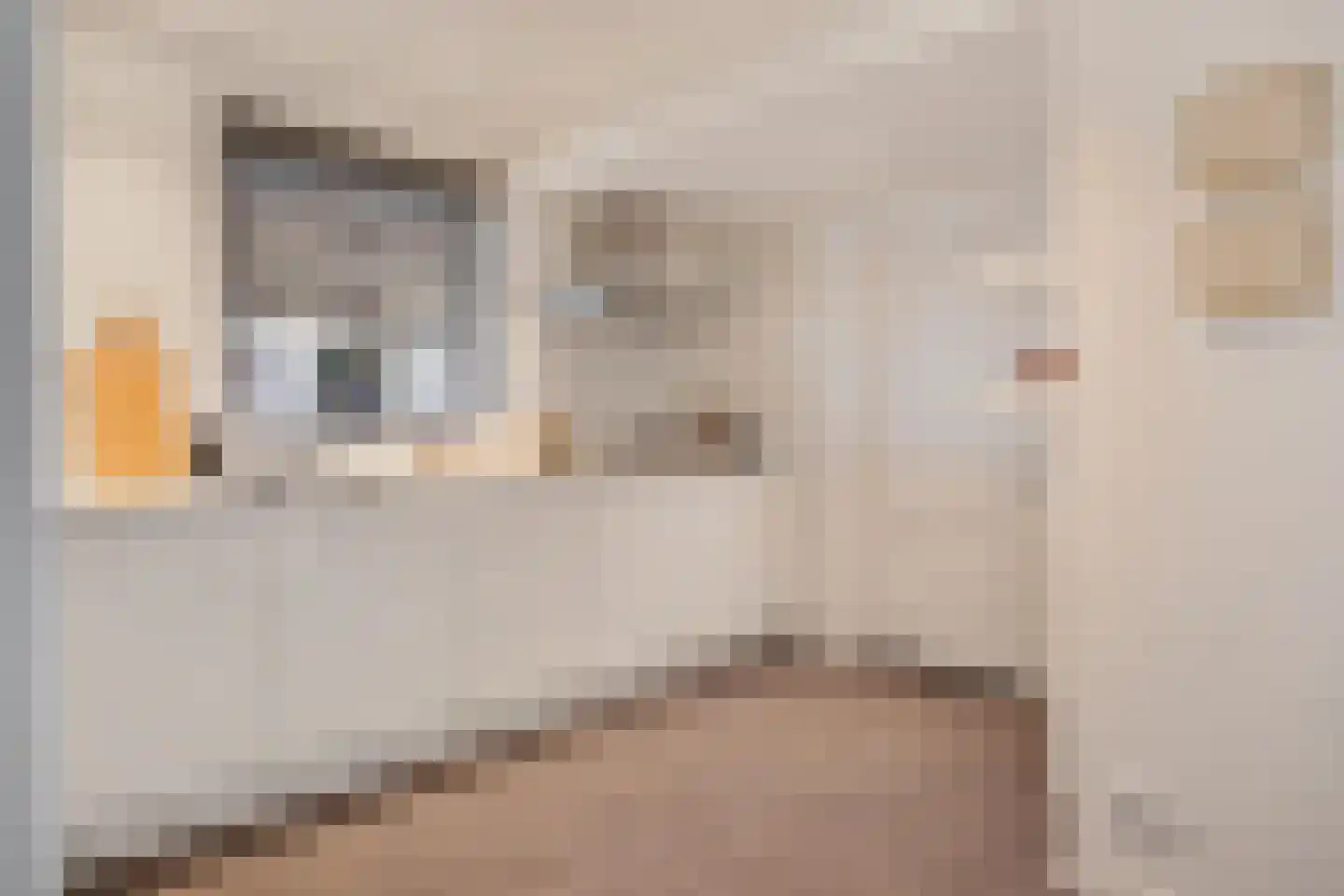 Boslaan 5 Sappemeer thumbnail 10