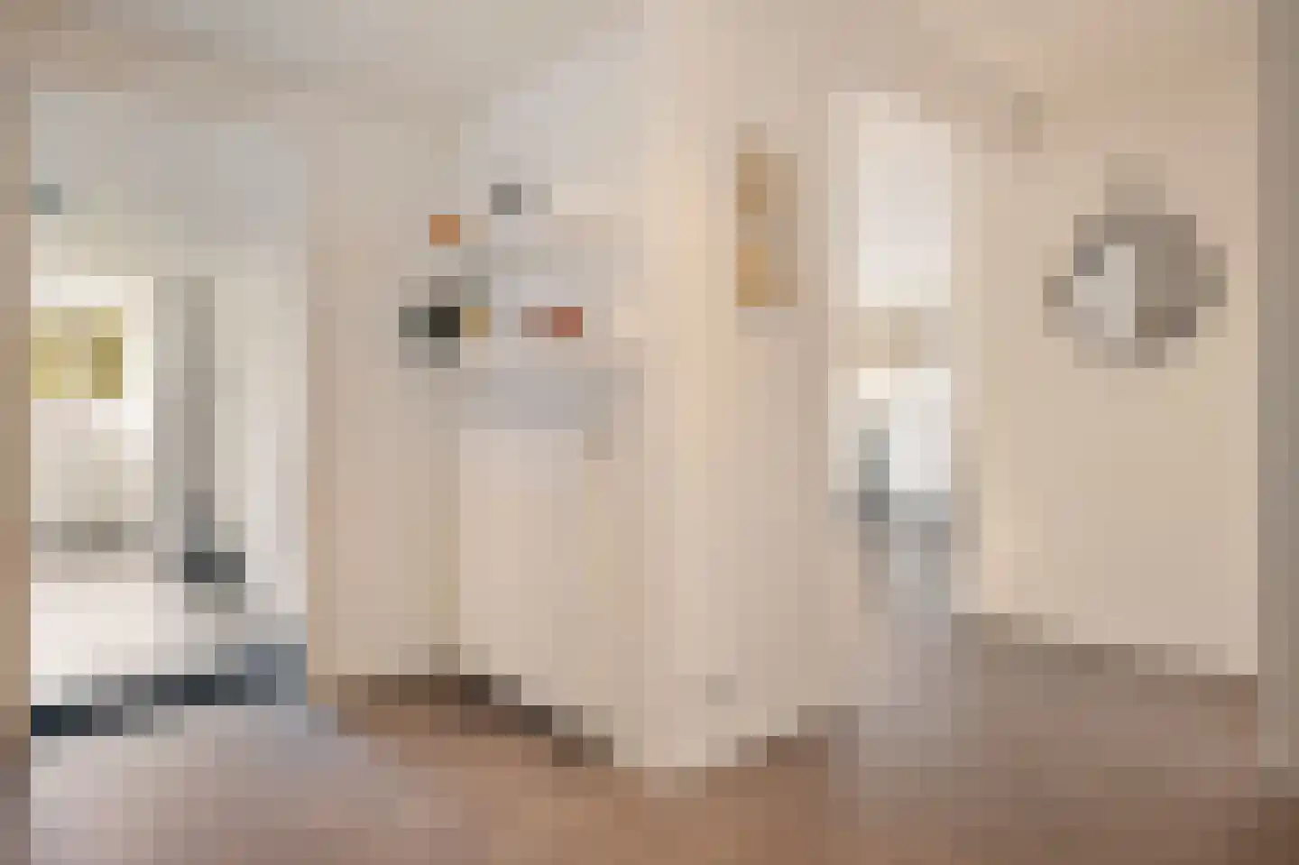 Boslaan 5 Sappemeer thumbnail 11