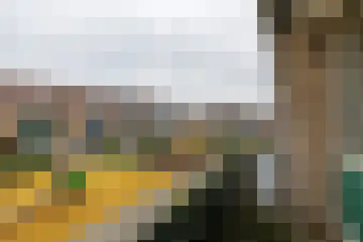 Boslaan 51 Zevenhuizen thumbnail 17