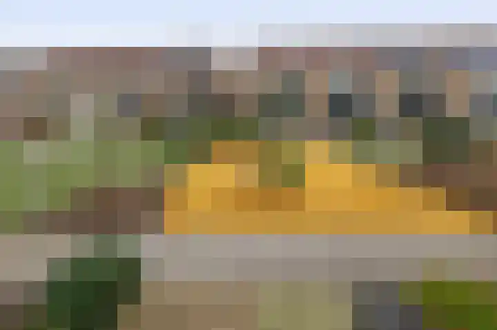 Boslaan 51 Zevenhuizen thumbnail 18