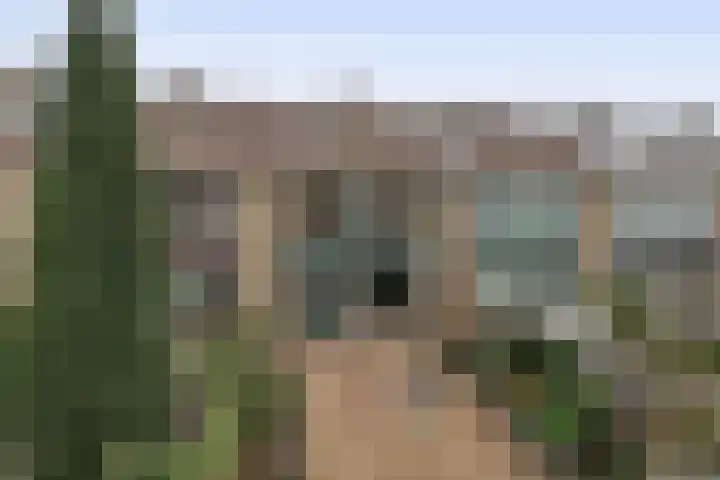 Boslaan 51 Zevenhuizen thumbnail 28
