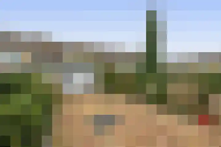 Boslaan 51 Zevenhuizen thumbnail 30
