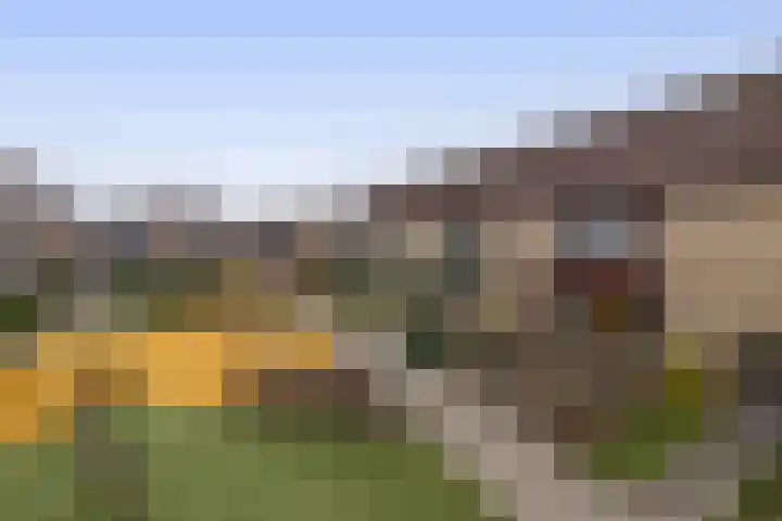 Boslaan 51 Zevenhuizen thumbnail 31