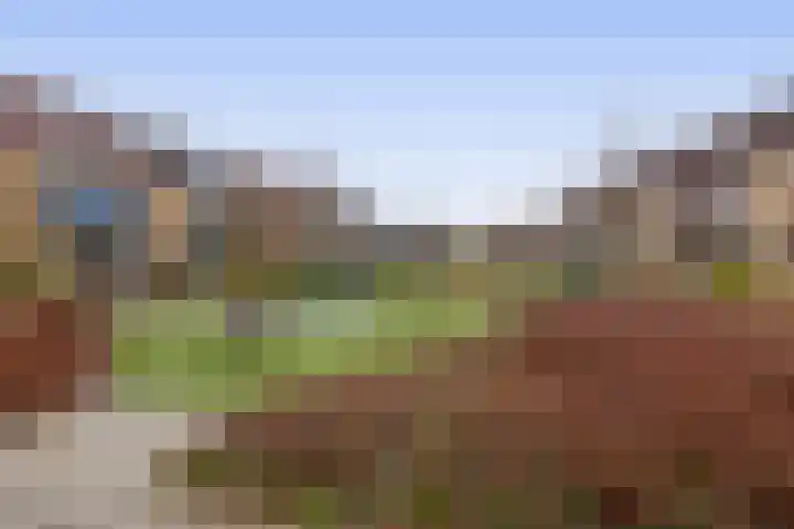 Boslaan 51 Zevenhuizen thumbnail 34