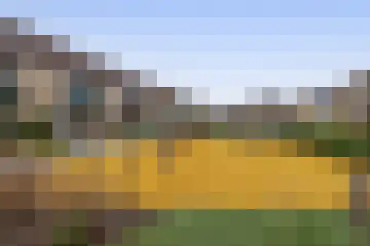 Boslaan 51 Zevenhuizen thumbnail 35