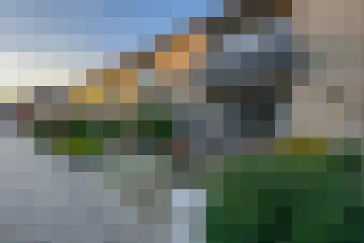 Boslaan 51 Zevenhuizen thumbnail 4