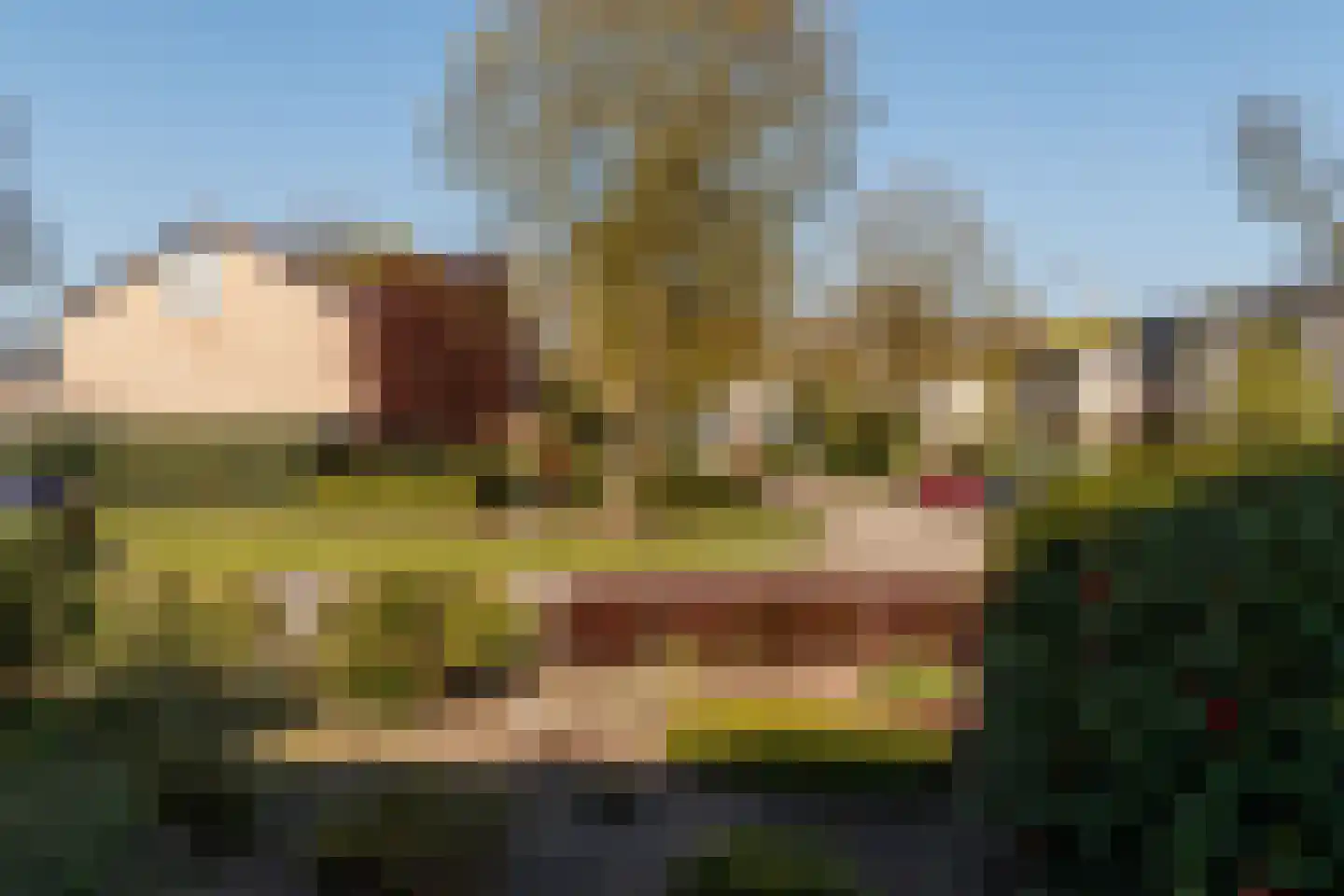 Boslaan 53 Amerongen thumbnail 26