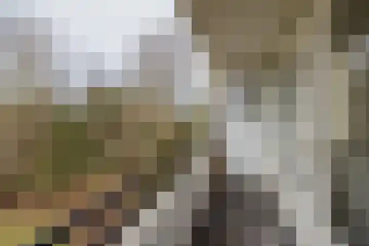 Boslaan 56 Katwijk thumbnail 33