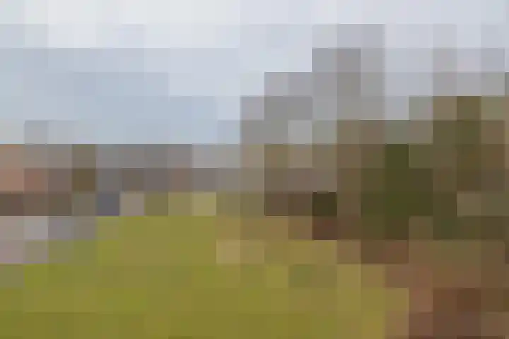 Boslaan 56 Katwijk thumbnail 35