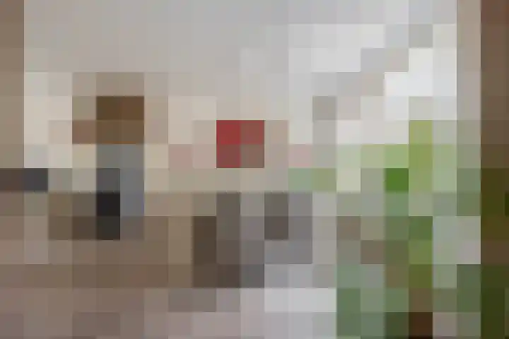 Boslaan 56 Zevenhuizen thumbnail 10