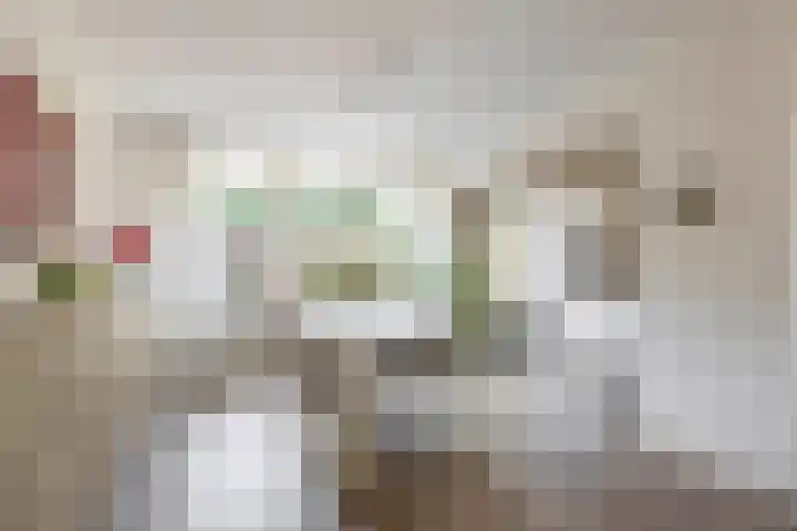 Boslaan 56 Zevenhuizen thumbnail 11
