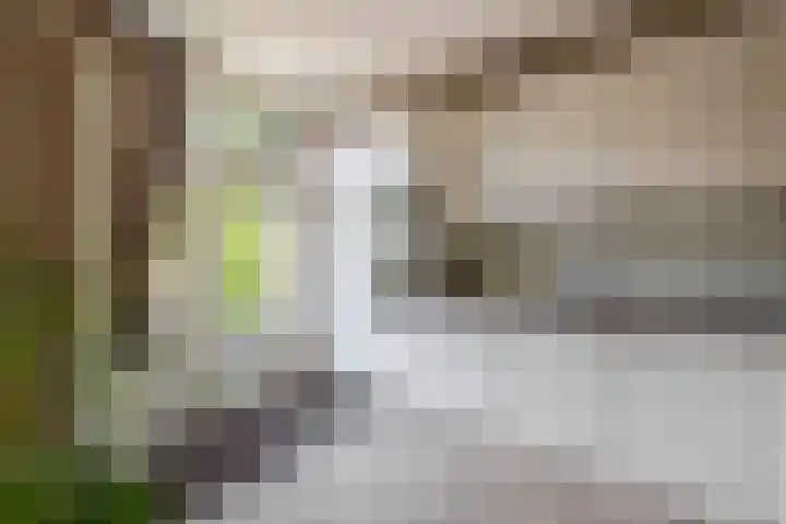 Boslaan 56 Zevenhuizen thumbnail 13